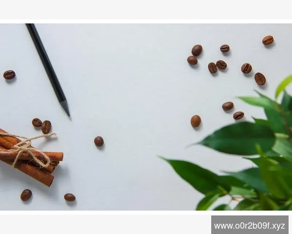 B2B电子商务PPT制作实战要点
